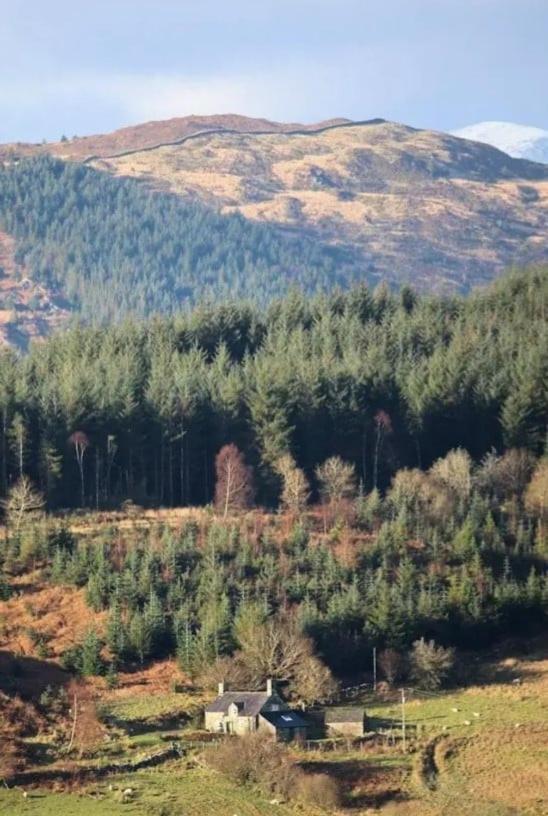 Tyn Y Simdde - Secluded Mountain Stay - Stunning Views Of Eryri Dolgellau Exterior photo