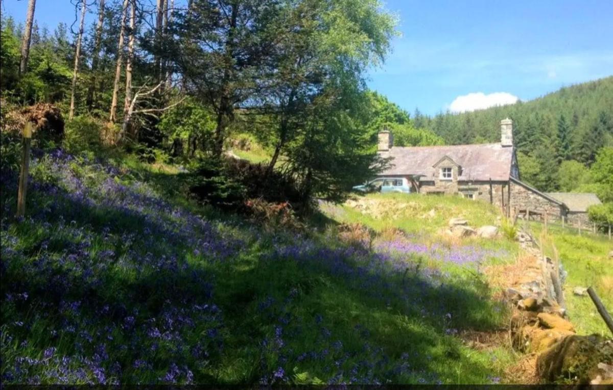 Tyn Y Simdde - Secluded Mountain Stay - Stunning Views Of Eryri Dolgellau Exterior photo