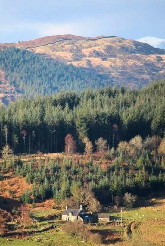 Tyn Y Simdde - Secluded Mountain Stay - Stunning Views Of Eryri Dolgellau Exterior photo