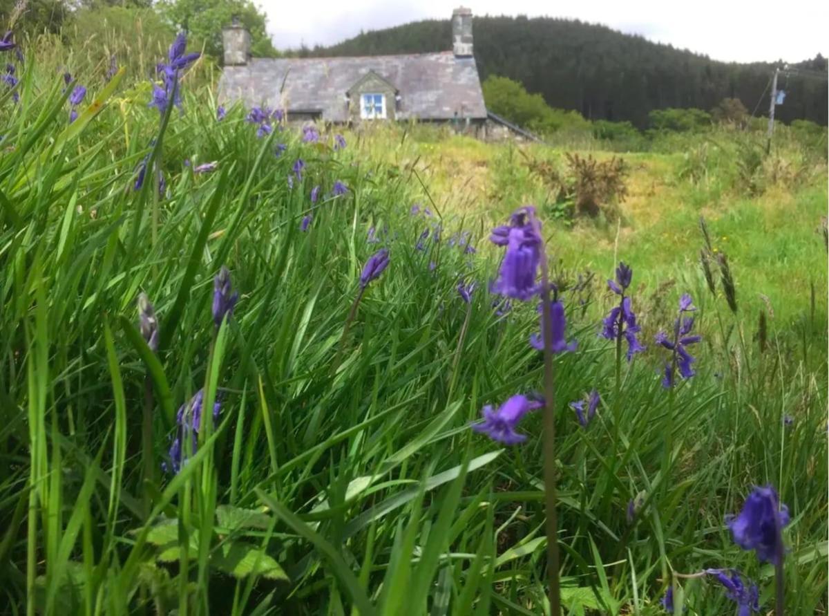 Tyn Y Simdde - Secluded Mountain Stay - Stunning Views Of Eryri Dolgellau Exterior photo